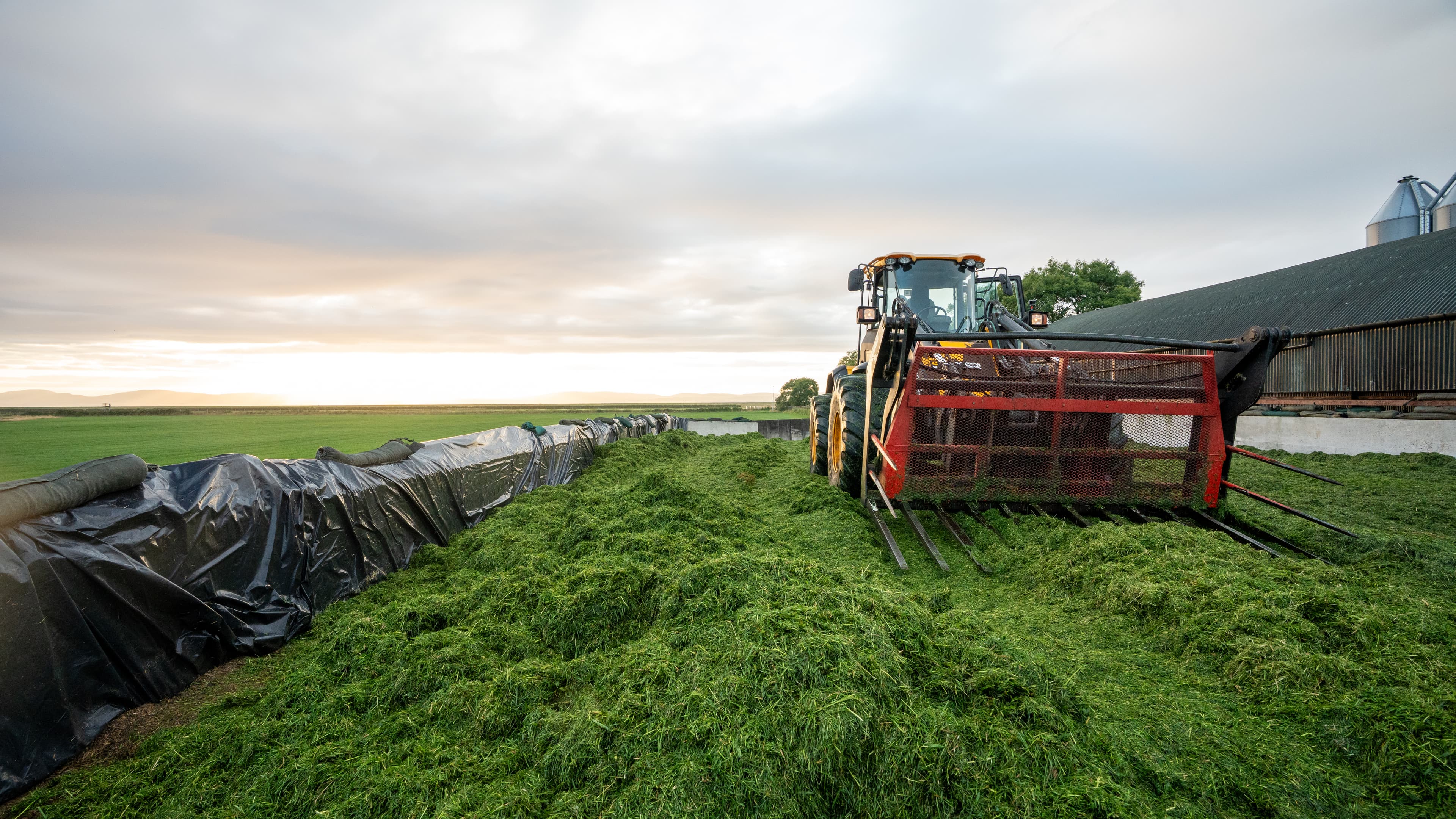 Compaction rolling grass clamp